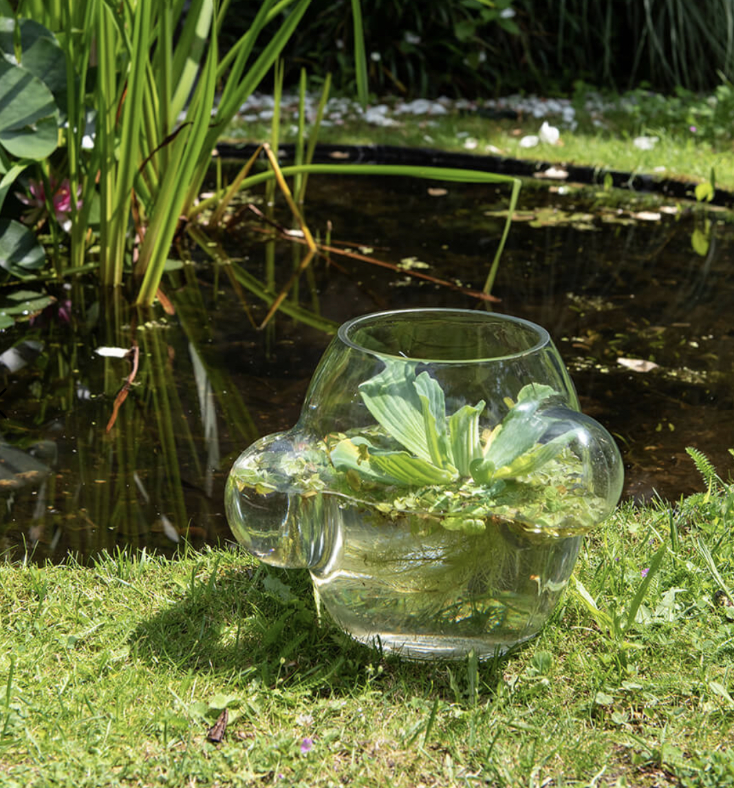 glass Bowl LOCAL HABIT by Weltevree